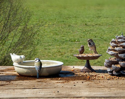 Produktbild von Esschert Design, Vogeltränke rund