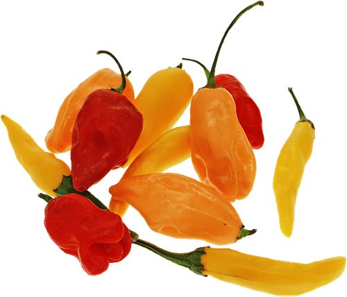 Produktbild von SPAR PREMIUM Edition Stekovics, Bio-Chili Mix