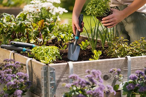 Produktbild von Gardena, Comfort Blumenkelle