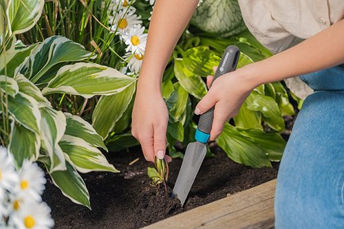 Produktbild von Gardena, Unkrautstecher kurz