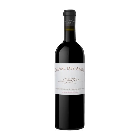 Cheval des     Andes 2021  075  GVE 6