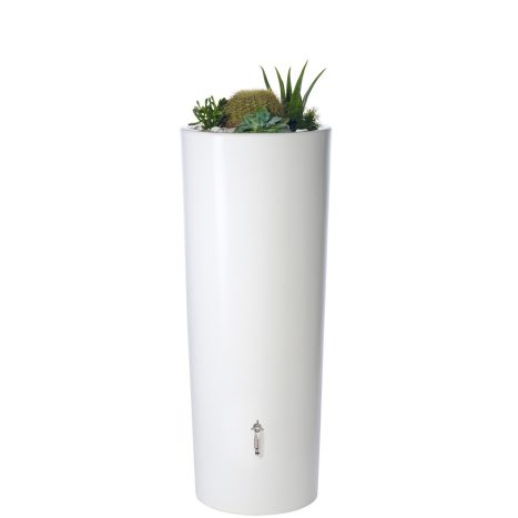 Regentonne     Color coco       GVE 1
