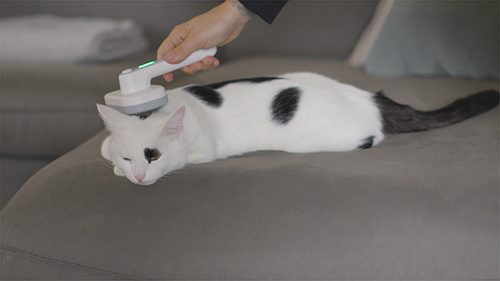 Produktbild von Mediashop, Piddi Pet Ion Brush Tierhaarbürste