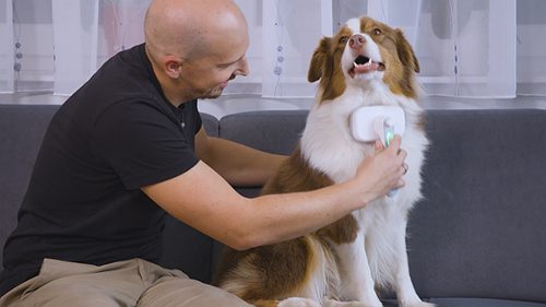 Produktbild von Mediashop, Piddi Pet Ion Brush Tierhaarbürste