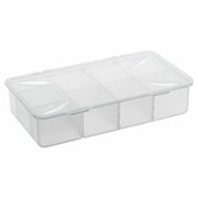 Rotho Box Snappy 3L