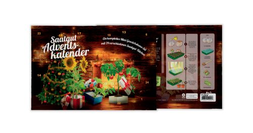 margeriten saatgut Saatgut