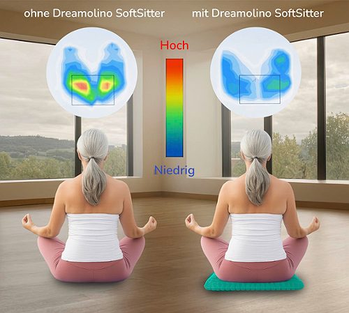 Produktbild von Mediashop, Dreamolino SoftSitter Sitzkissen