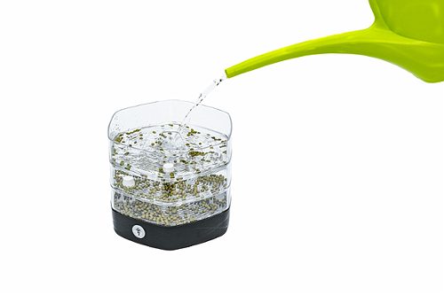 Produktbild von Sprossen SchaleMungo Anthrazit, 