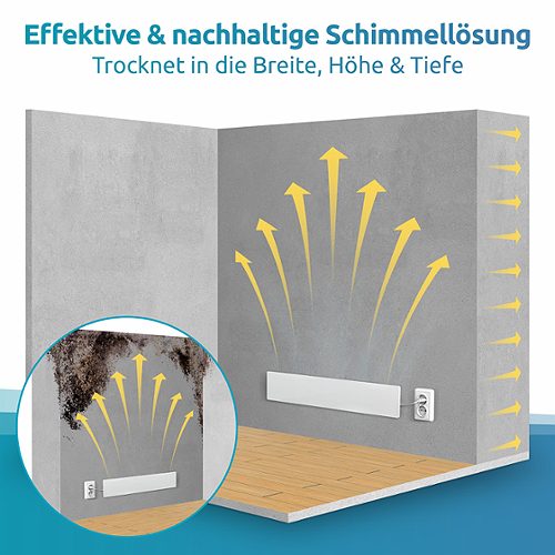 Produktbild von Schimmel Dry M1               , 