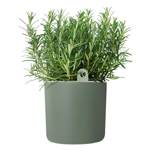 Produktbild von Elho, Happy Herbs Kräutertopf Laubgrün 14cm