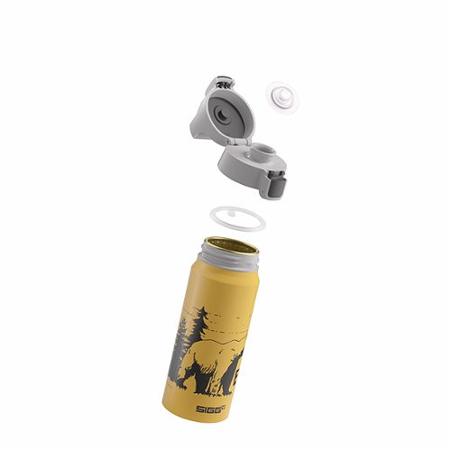 Produktbild von SIGG, Kindertrinkflasche 600ml Brave Bear