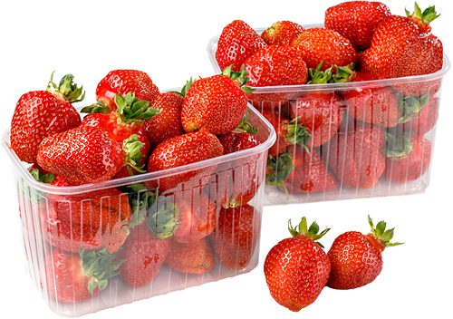 Produktbild von Eferd.Erdbeeren 1kg Tasse   MW, 
