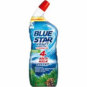 BlueStar WC-Rein.750ml Morgenf