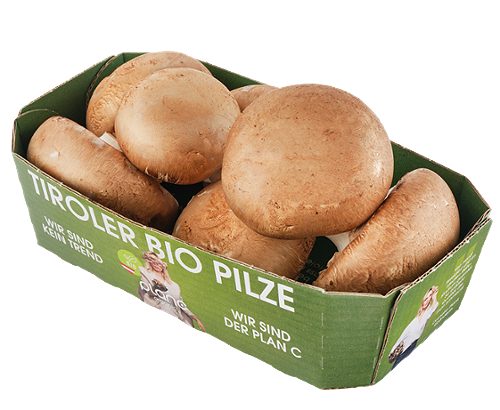 Produktbild von Champignon Bio planc 150g   MK, 