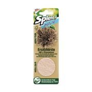 Slika produkta Splendid nature