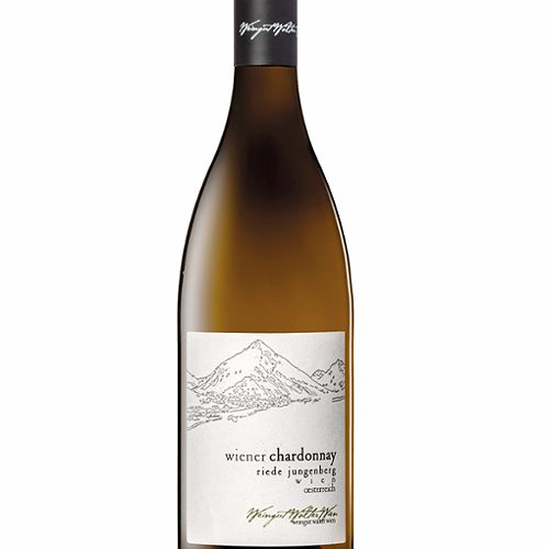 Produktbild von Weingut Walter Wien, Wiener Chardonnay BIO