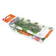 Slika produkta SPAR