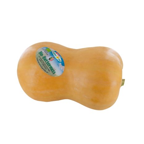 Kuerbis Butternuss Bio SNP      KG  1