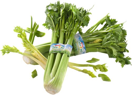 Produktbild von SPAR Natur*pur, Bio-Stangensellerie