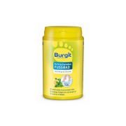 Burgit Footcare Fußbad 250g
