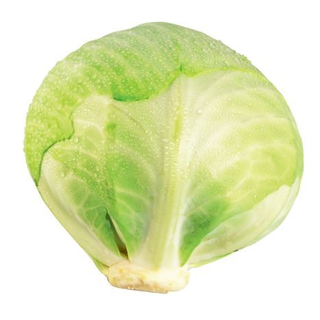 Kraut weiss                 KG  KG  1
