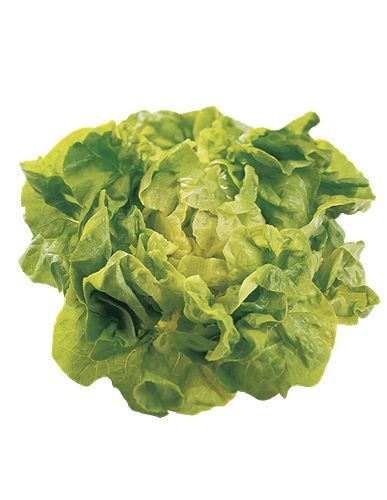 Produktbild von Kopfsalat Kl.1 Stk,