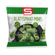 Slika produkta S-BUDGET