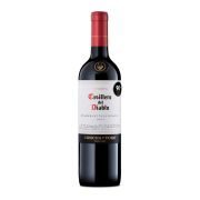 Slika produkta Concha y Toro Casillero del Diablo
