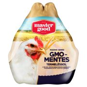 GMO MENT.GRILLCSIRKE ZST