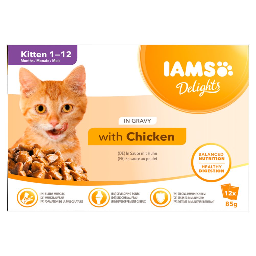 IAMS DELIG.JUNIOR 12PACK