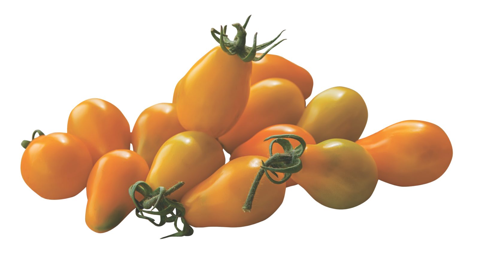 Gelbe Datteltomaten