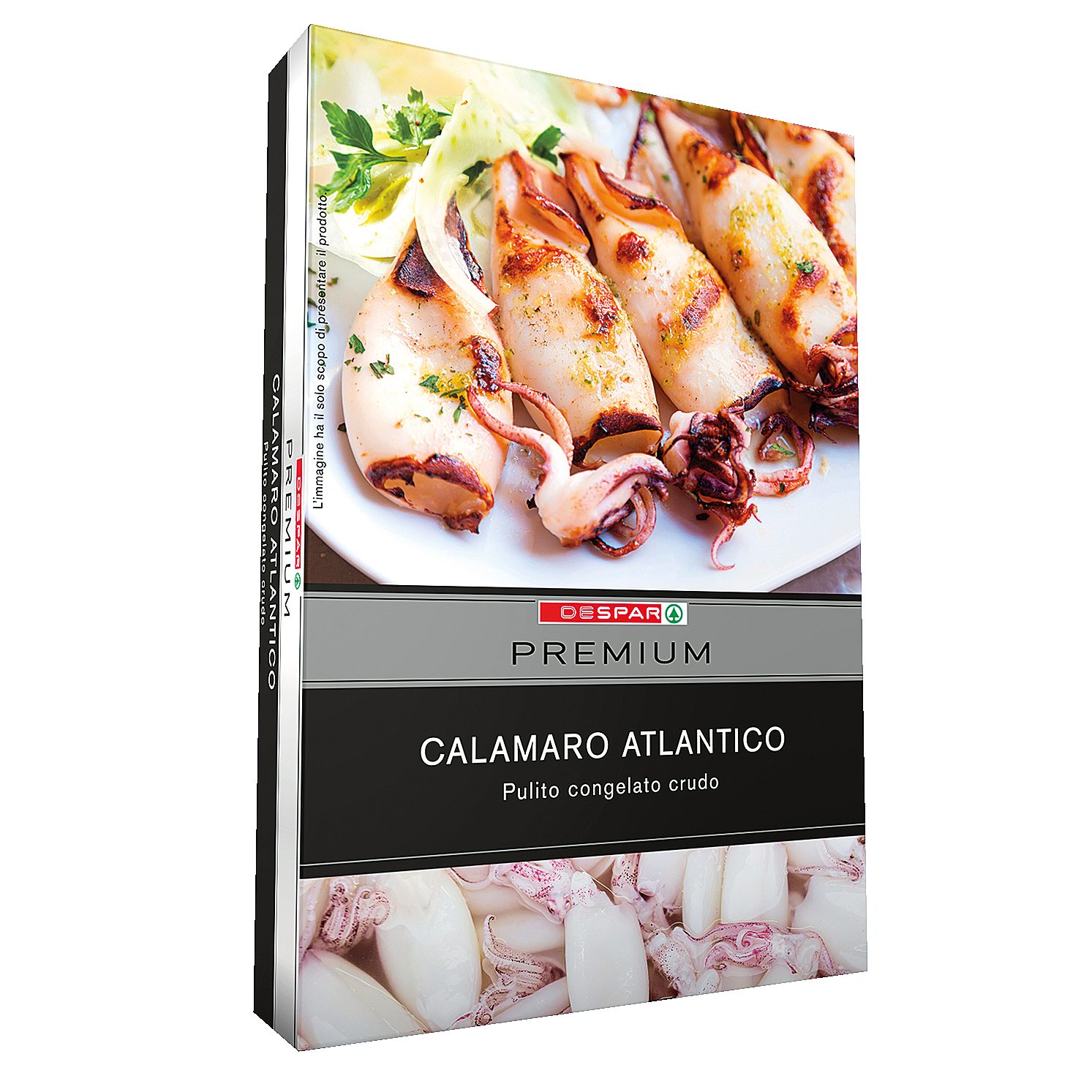 Calamaro Atlantico 