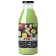 Bio-Saft Lime und Ingwer 