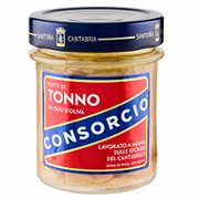 Filetti di tonno in olio di oliva