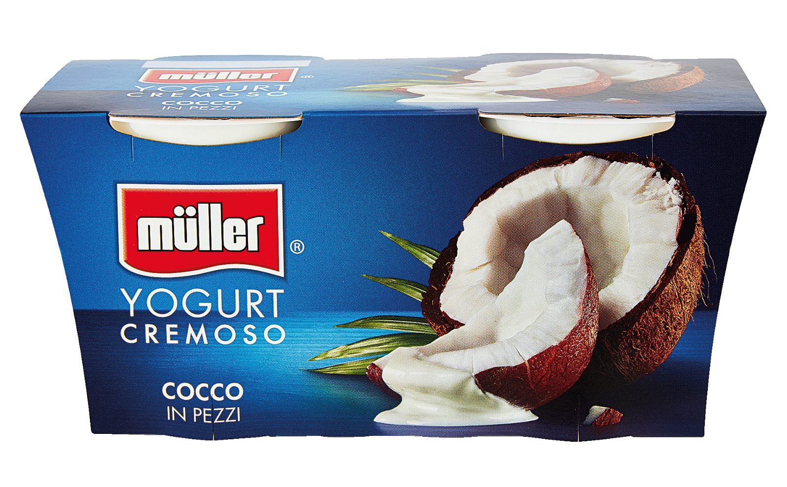Cremiger Joghurt mit Kokosstücken