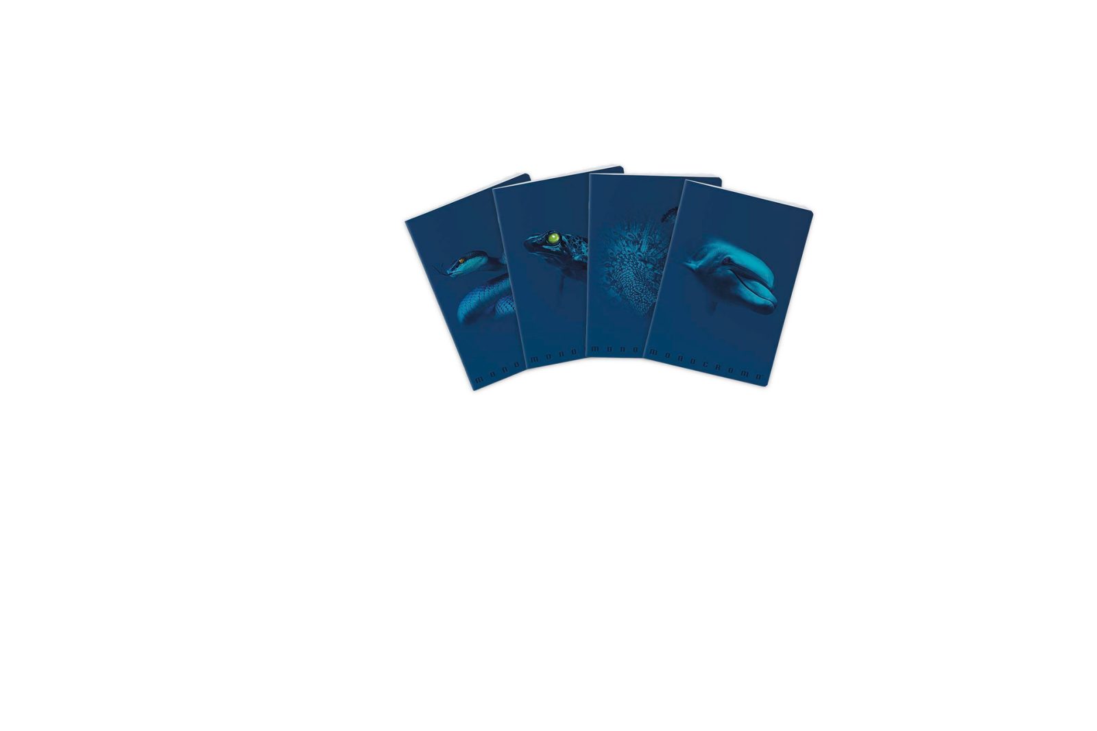 Maxi quaderno Blue