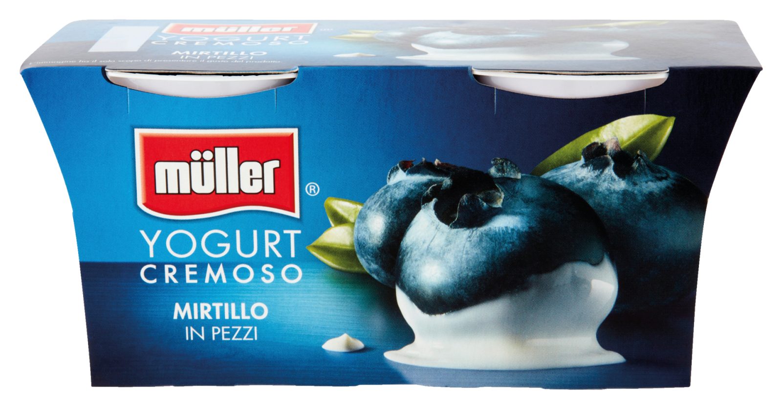 Yogurt Cremoso Mirtillo in Pezzi