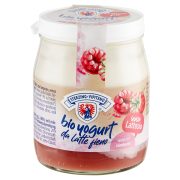 Bio yogurt da Latte fieno lamponi senza Lattosio