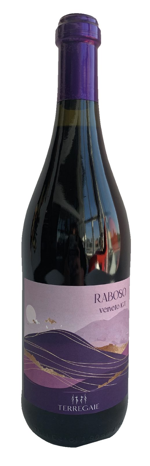Raboso Veneto IGT Terre Gaie