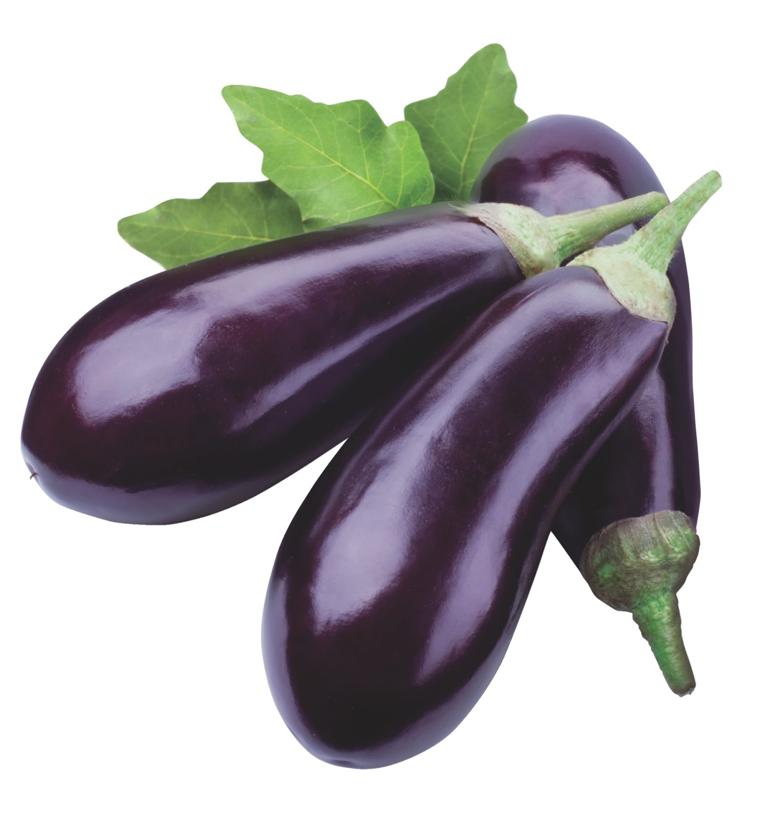 Melanzane