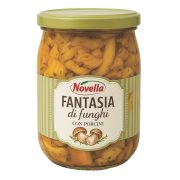 Fantasia di funghi con Porcini