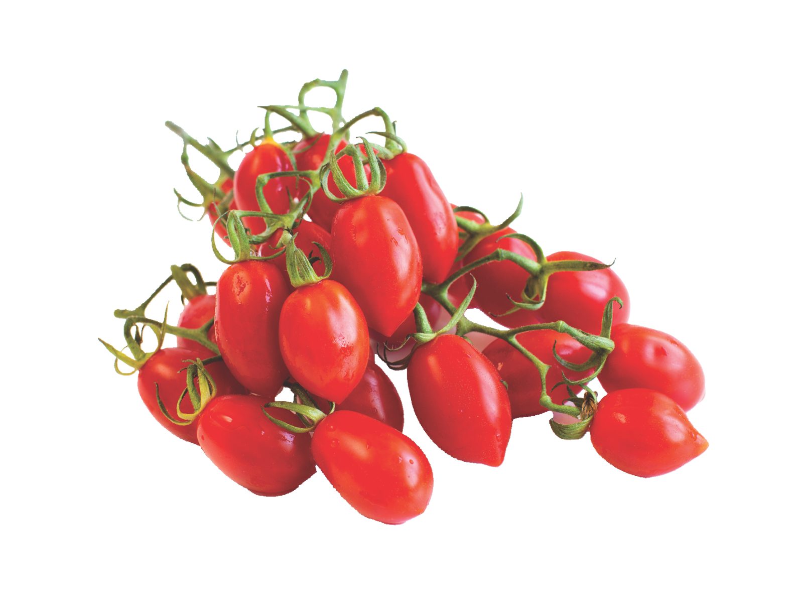 Datteltomaten