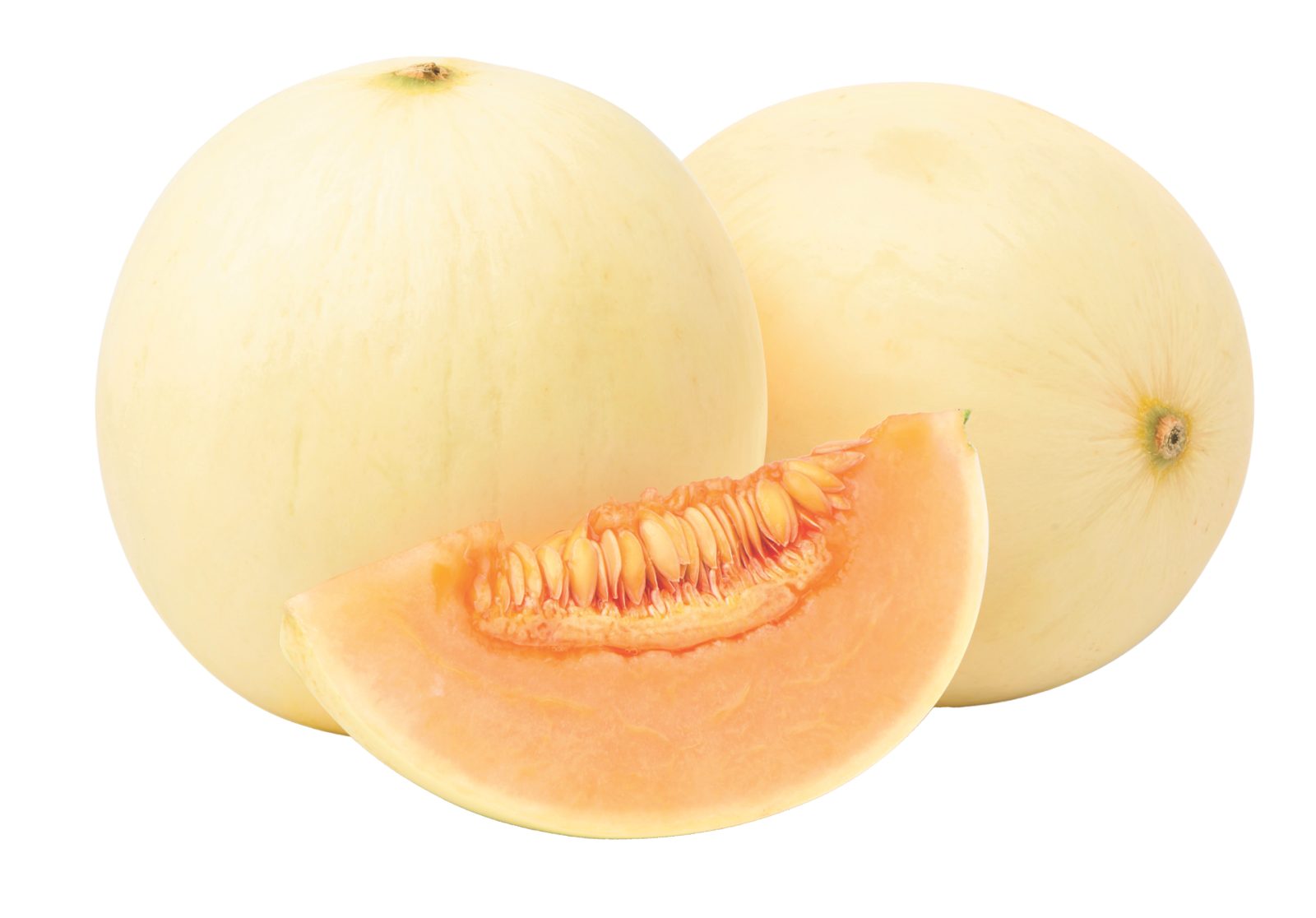 Melone liscio IGP 
Mantova