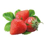 Erdbeeren Candonga