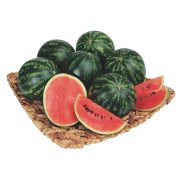 Cocomeri mini