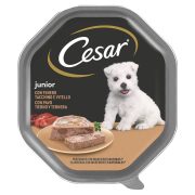 Patè per cane con tacchino e vitello