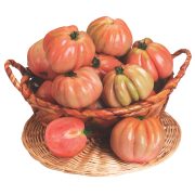 Ochsenherztomaten