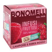 Infusi Fruttosi 100% Naturali Lampone e Ribes Rosso 12 Filtri