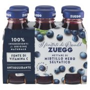 Nektar, Wilde Heidelbeeren