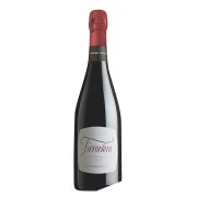 FieroNero Lambrusco Scuro Modena DOC